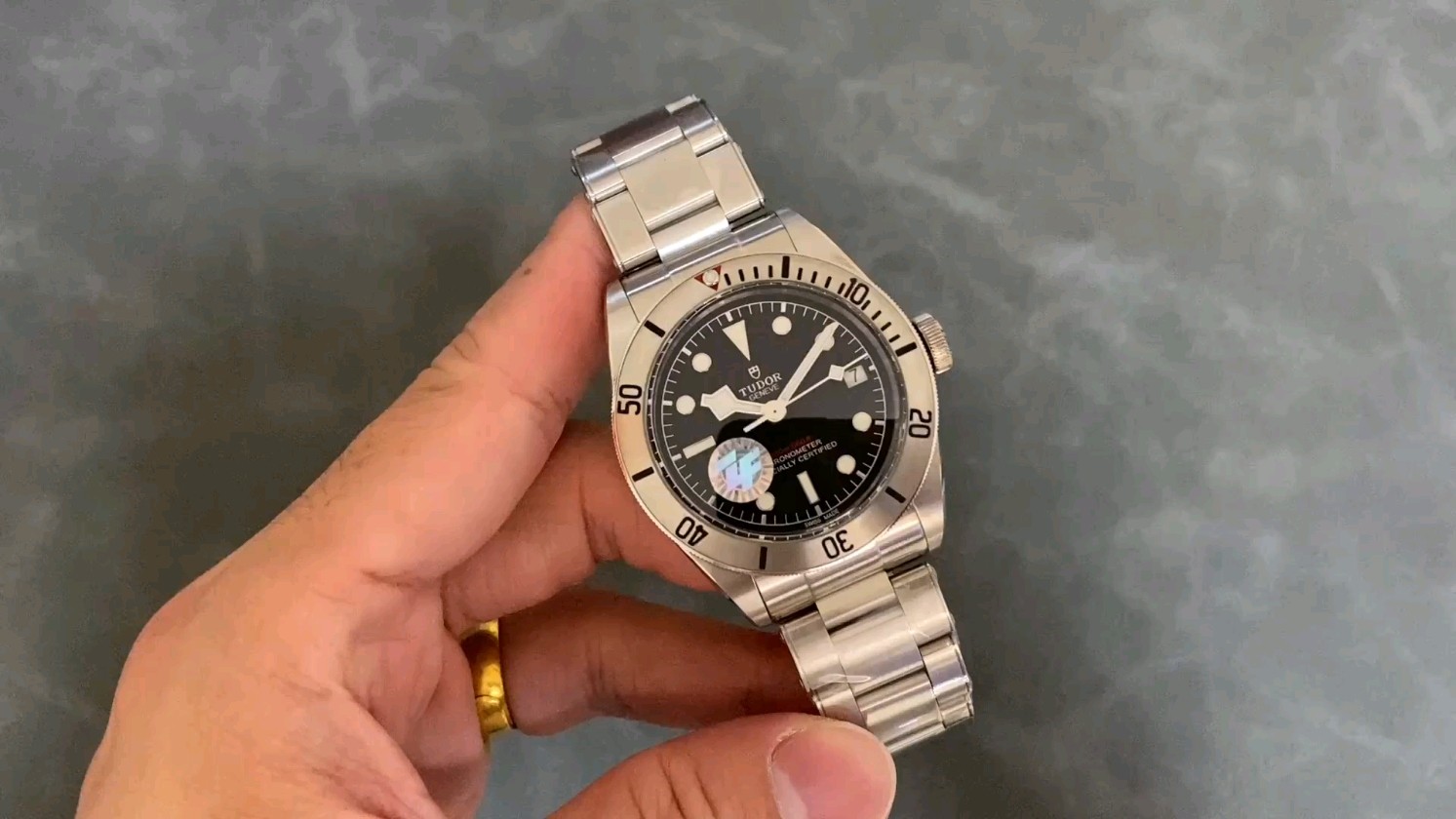 ZF チューダー ブラックベイ