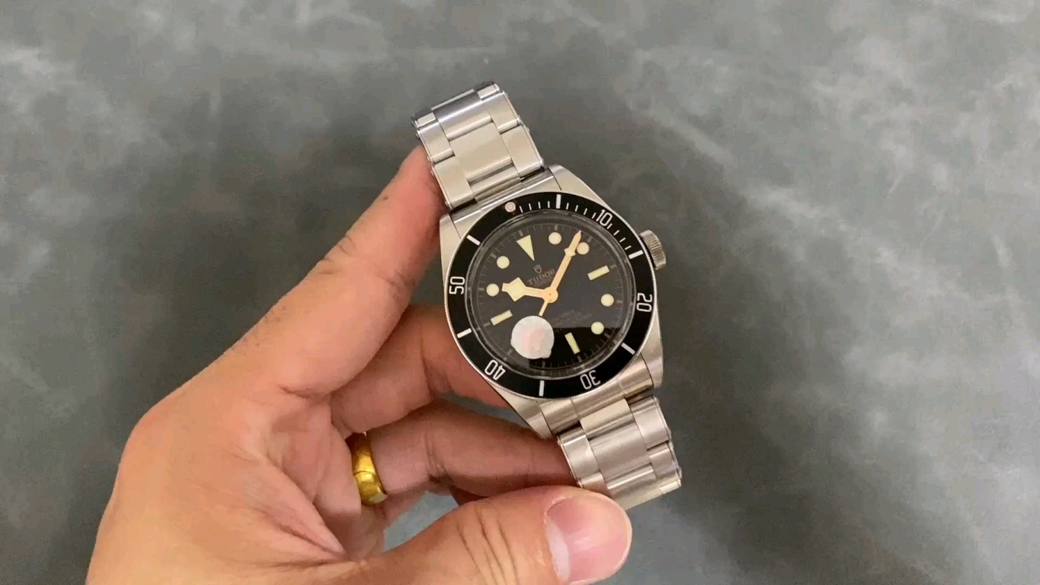 ZF チューダー ブラックベイ