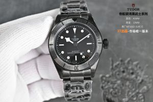 ブラックベイ ブラックナイト：チューダーの透明な驚異